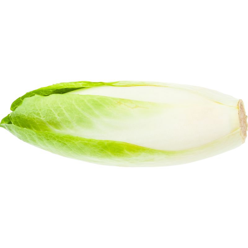 Chicorée