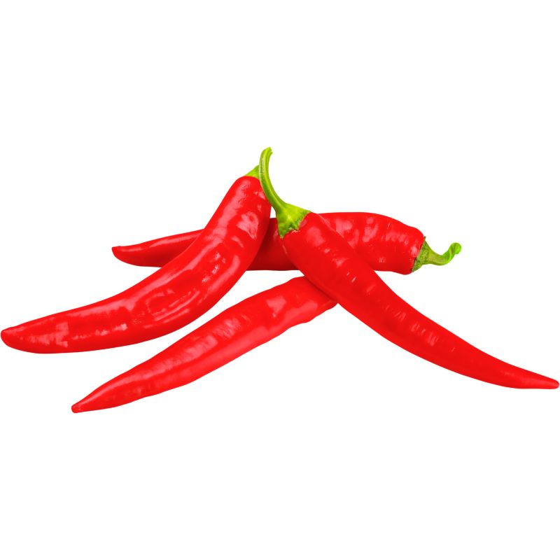 Chili-Bund rot