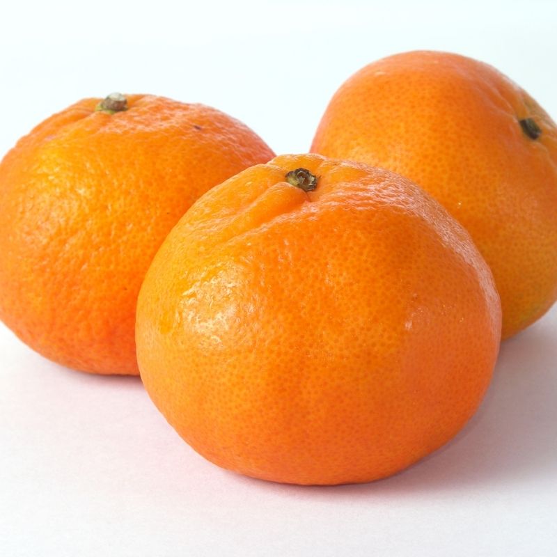 Clementinen
