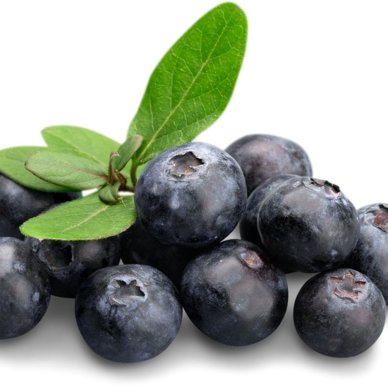 Heidelbeeren 250g