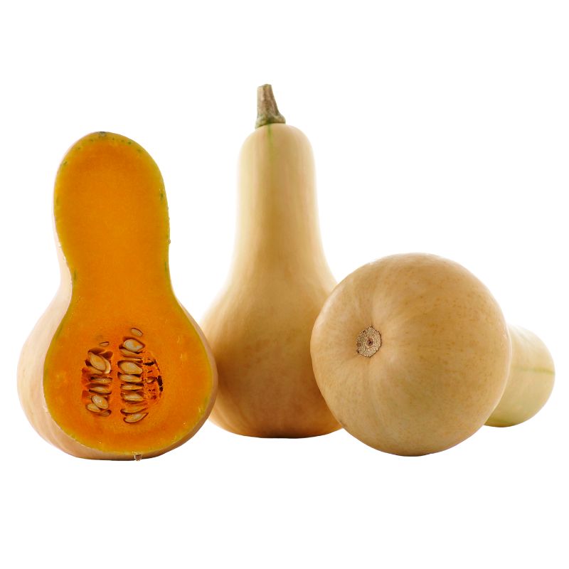 Kürbis Butternuss