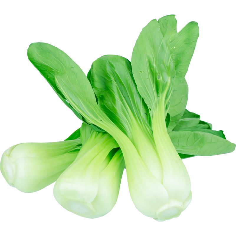Pak Choi