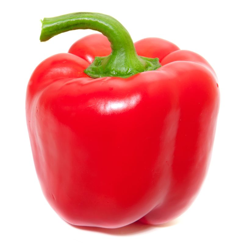 Paprika rot