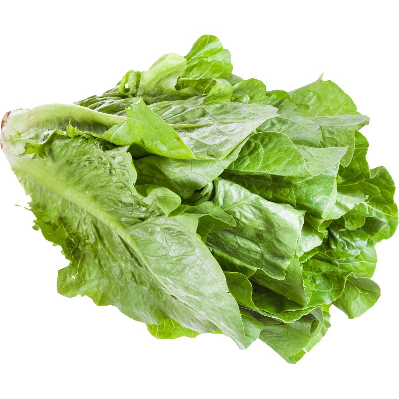 Romanasalat