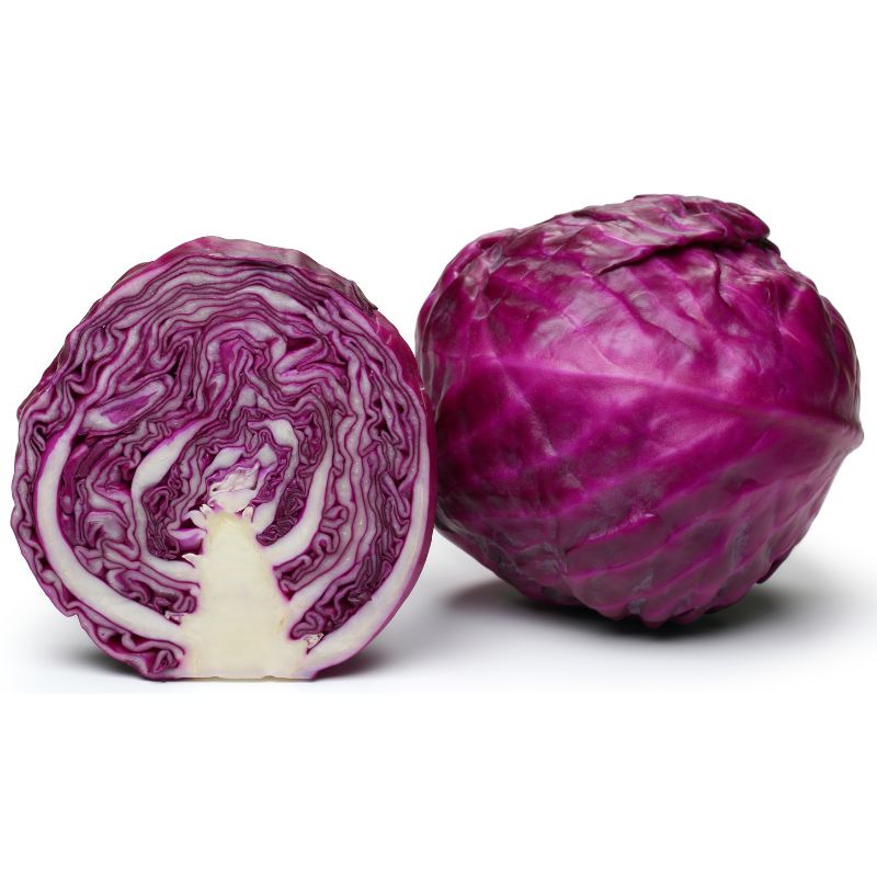 Rotkraut