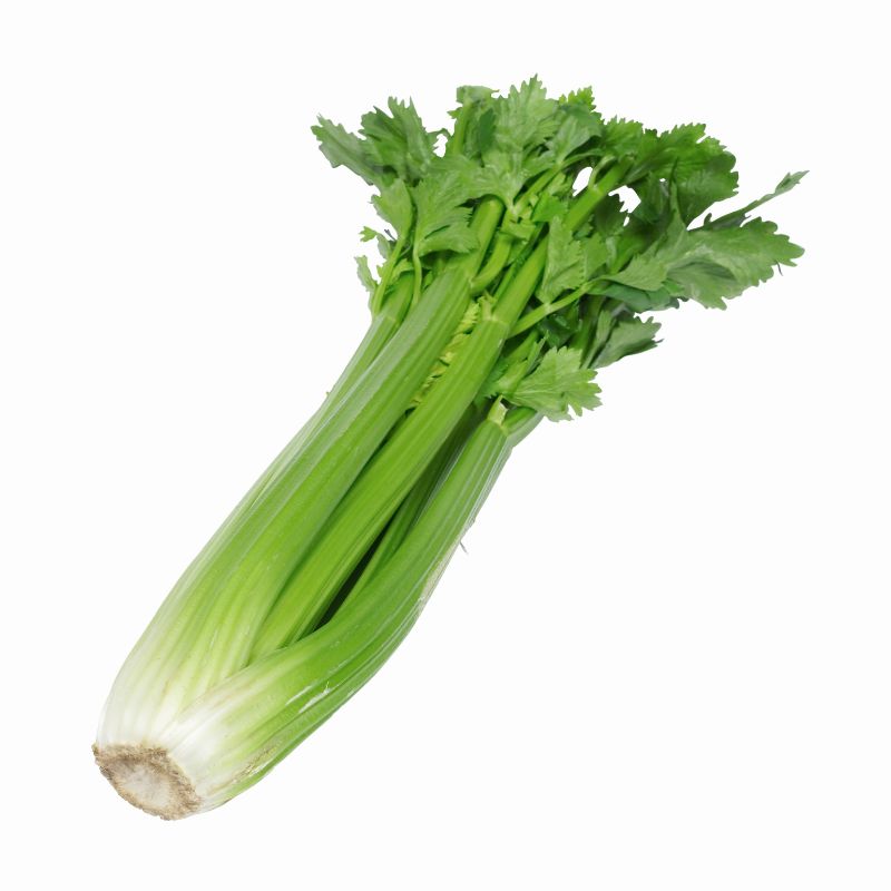 Stangensellerie