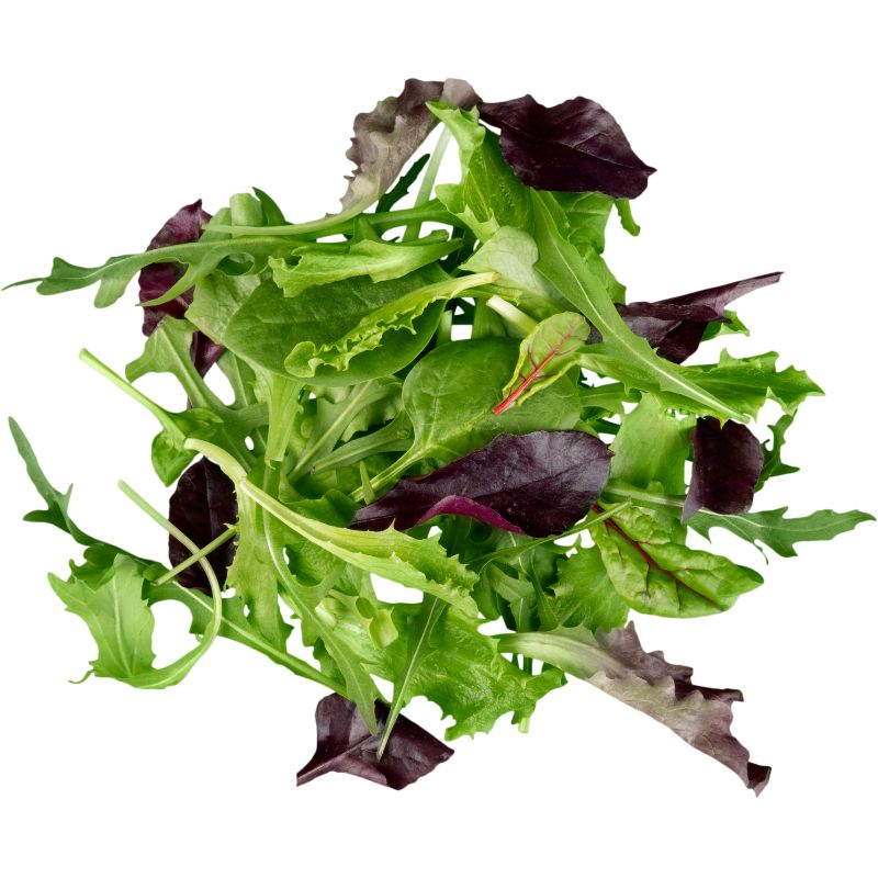 Tutteinsieme