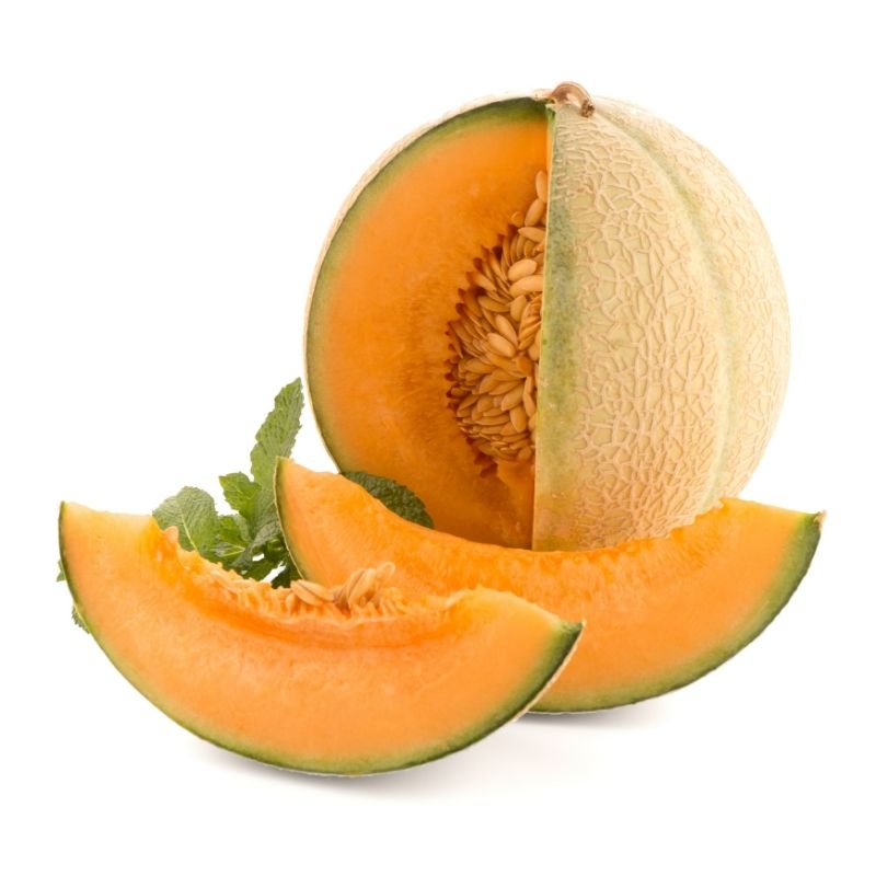 Zuckermelone