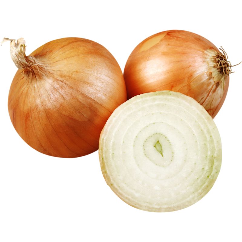 Zwiebel