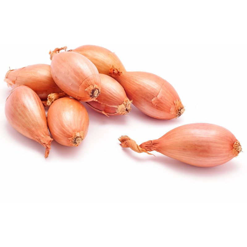 Zwiebel Schalotten