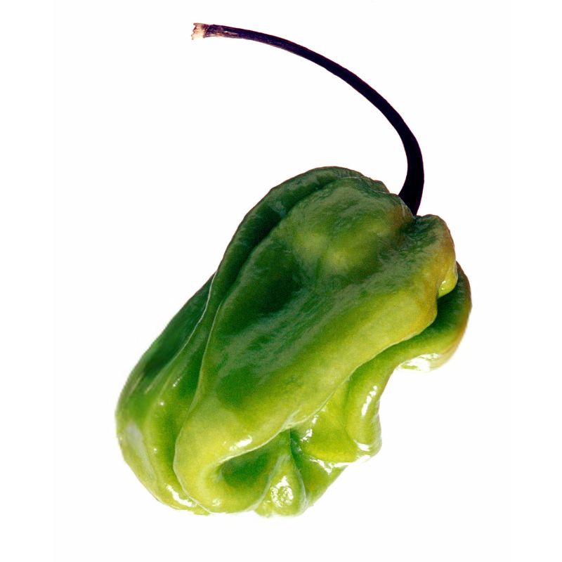 Pimentos de Patron Inland