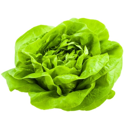 [10211ATBIO] BIO Häuptelsalat Inland