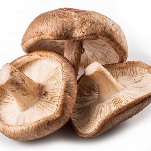 [10507ATBIO] BIO Shiitake Inland