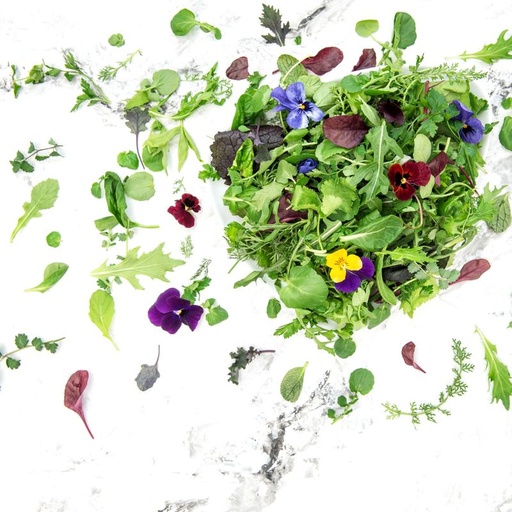 [10231ATBIO] BIO Wildkräutersalat Inland