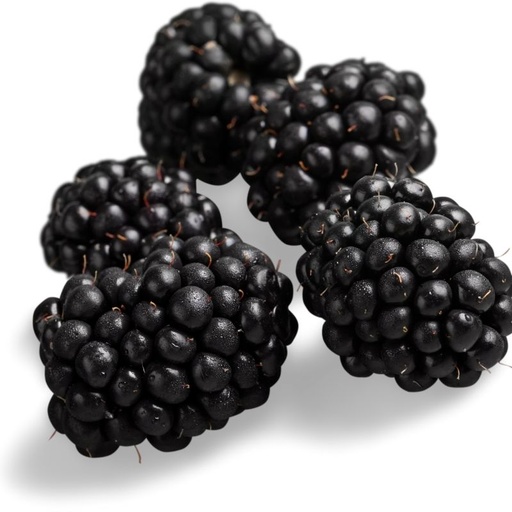 [10607] Brombeeren 250g
