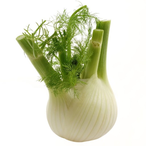 [10004] Fenchel