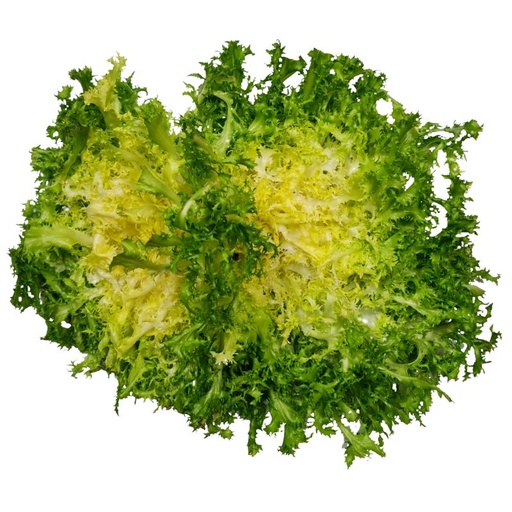 [10206] Frisée