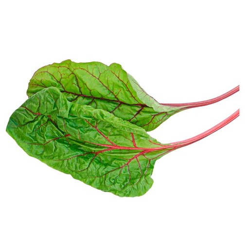 [10222] Mangold Red Chard