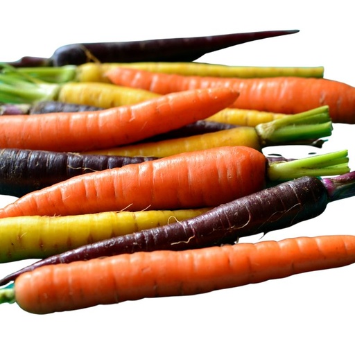 [10807] Mini Karotten Rainbow