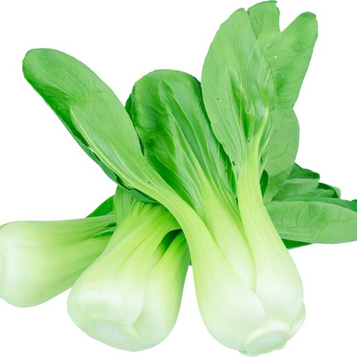 [10811] Mini Pak Choi
