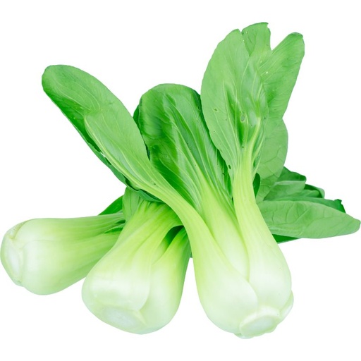 [10040] Pak Choi