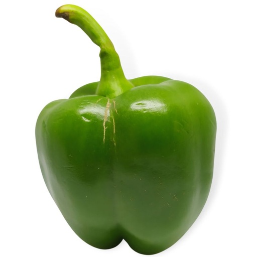 [10113] Paprika grün