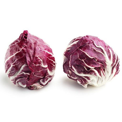 [10221] Radicchio
