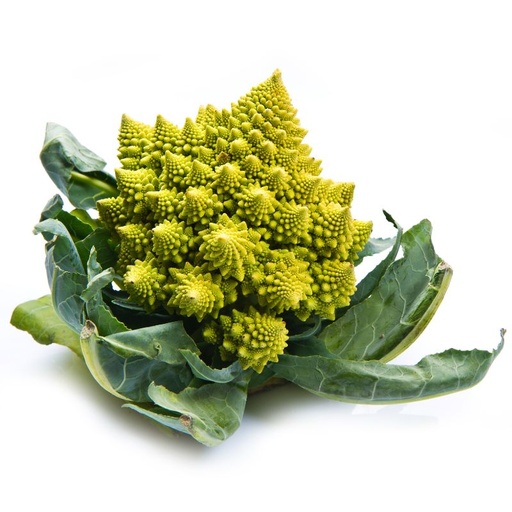 [10223] Romanesco