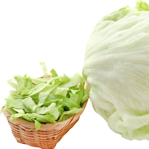 [11074] Eisbergsalat geschnitten