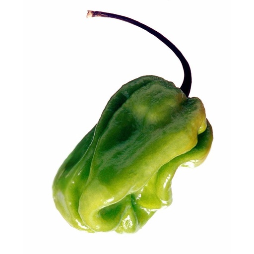 [10129AT] Pimentos de Patron Inland