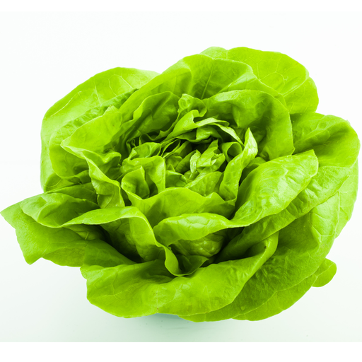 [11078] Häuptelsalat handgeputzt